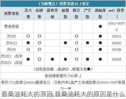 普桑油耗大的原因,普桑油耗大的原因是什么