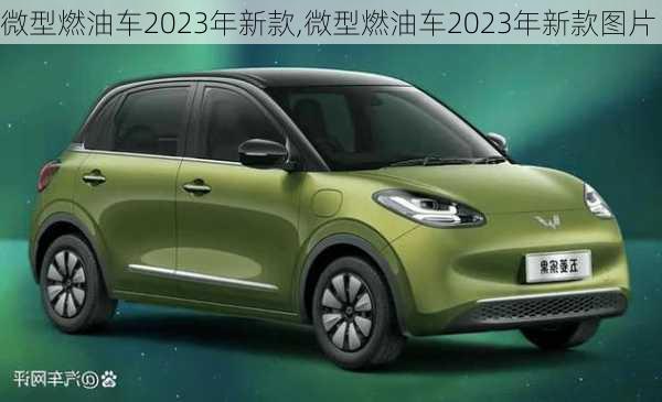 微型燃油车2023年新款,微型燃油车2023年新款图片