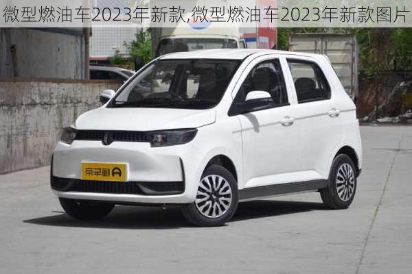 微型燃油车2023年新款,微型燃油车2023年新款图片