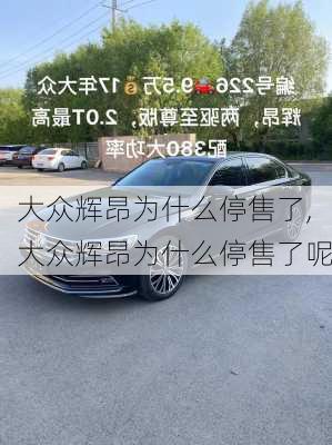 大众辉昂为什么停售了,大众辉昂为什么停售了呢