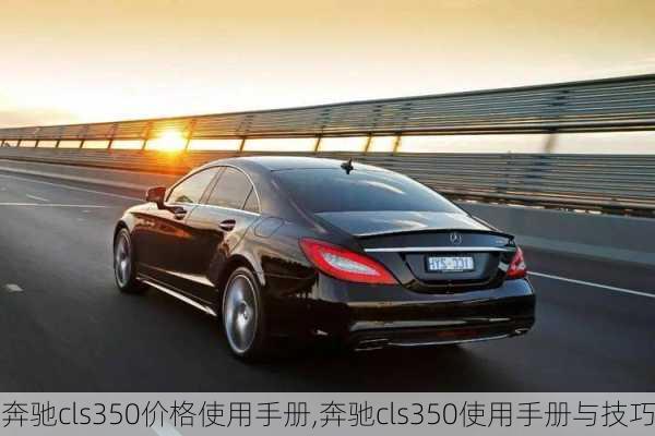 奔驰cls350价格使用手册,奔驰cls350使用手册与技巧