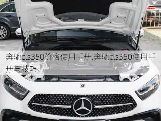 奔驰cls350价格使用手册,奔驰cls350使用手册与技巧