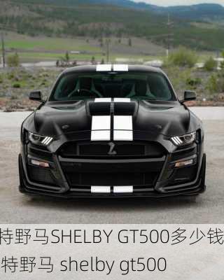 福特野马SHELBY GT500多少钱,福特野马 shelby gt500