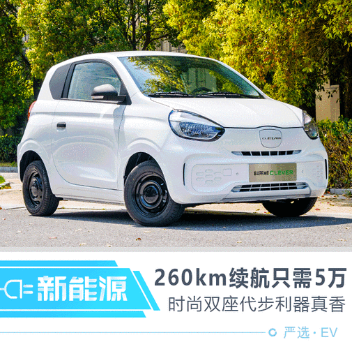 双燃料汽车2020车型,双燃料汽车2020车型有哪些