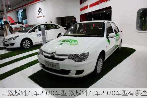 双燃料汽车2020车型,双燃料汽车2020车型有哪些