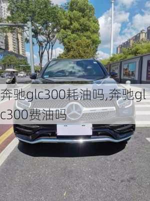 奔驰glc300耗油吗,奔驰glc300费油吗