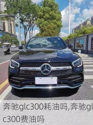 奔驰glc300耗油吗,奔驰glc300费油吗