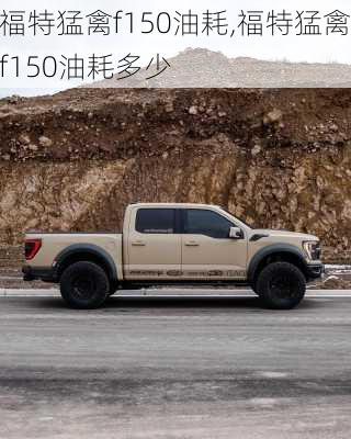 福特猛禽f150油耗,福特猛禽f150油耗多少