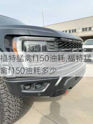 福特猛禽f150油耗,福特猛禽f150油耗多少