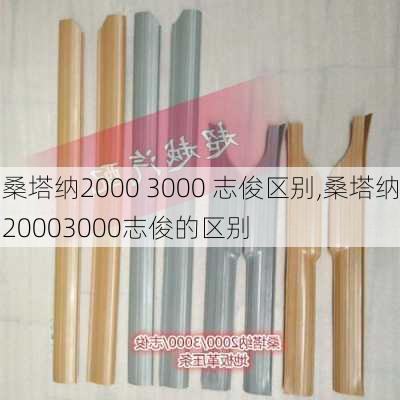 桑塔纳2000 3000 志俊区别,桑塔纳20003000志俊的区别