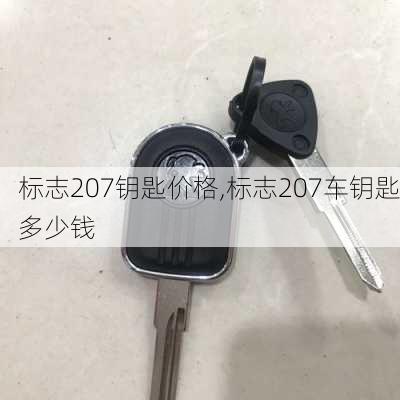 标志207钥匙价格,标志207车钥匙多少钱