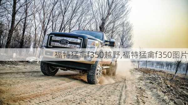 福特猛禽f350越野,福特猛禽f350图片