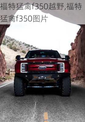 福特猛禽f350越野,福特猛禽f350图片