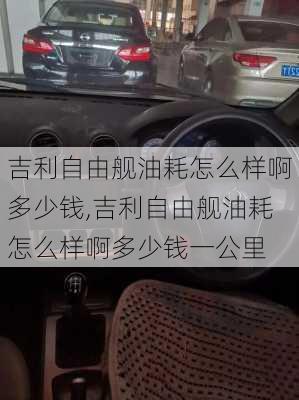 吉利自由舰油耗怎么样啊多少钱,吉利自由舰油耗怎么样啊多少钱一公里