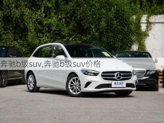 奔驰b级suv,奔驰b级suv价格