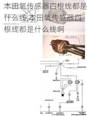 本田氧传感器四根线都是什么线,本田氧传感器四根线都是什么线啊