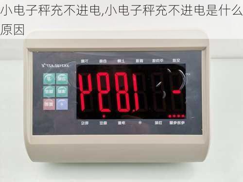 小电子秤充不进电,小电子秤充不进电是什么原因