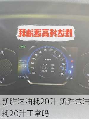 新胜达油耗20升,新胜达油耗20升正常吗