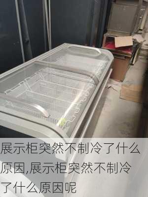 展示柜突然不制冷了什么原因,展示柜突然不制冷了什么原因呢