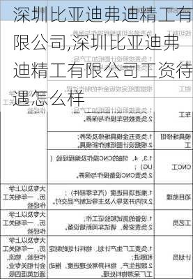 深圳比亚迪弗迪精工有限公司,深圳比亚迪弗迪精工有限公司工资待遇怎么样