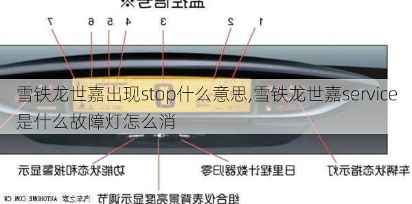 雪铁龙世嘉出现stop什么意思,雪铁龙世嘉service是什么故障灯怎么消