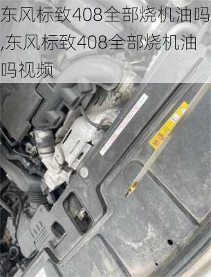 东风标致408全部烧机油吗,东风标致408全部烧机油吗视频