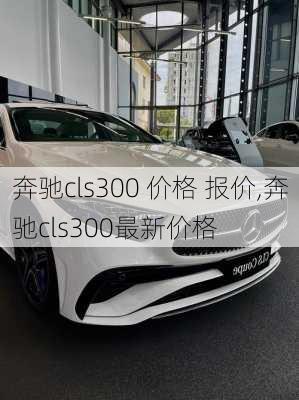 奔驰cls300 价格 报价,奔驰cls300最新价格