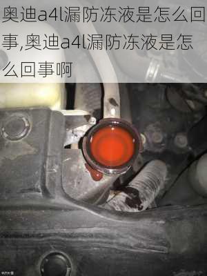 奥迪a4l漏防冻液是怎么回事,奥迪a4l漏防冻液是怎么回事啊