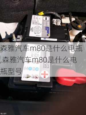 森雅汽车m80是什么电瓶,森雅汽车m80是什么电瓶型号