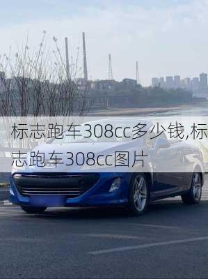 标志跑车308cc多少钱,标志跑车308cc图片