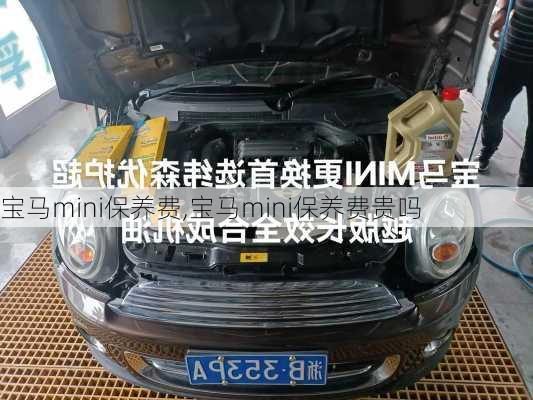 宝马mini保养费,宝马mini保养费贵吗