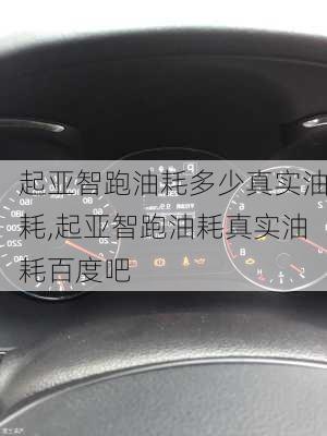 起亚智跑油耗多少真实油耗,起亚智跑油耗真实油耗百度吧