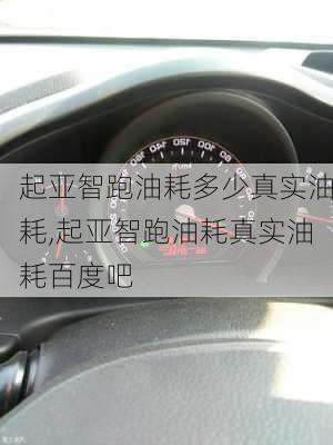 起亚智跑油耗多少真实油耗,起亚智跑油耗真实油耗百度吧