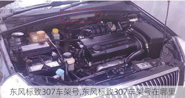 东风标致307车架号,东风标致307车架号在哪里