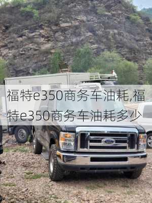 福特e350商务车油耗,福特e350商务车油耗多少