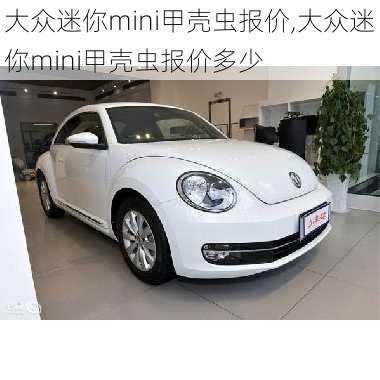 大众迷你mini甲壳虫报价,大众迷你mini甲壳虫报价多少