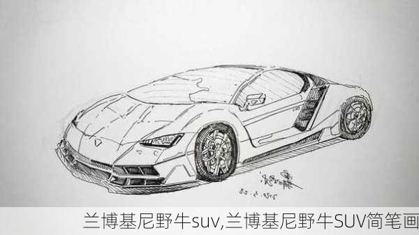 兰博基尼野牛suv,兰博基尼野牛SUV简笔画