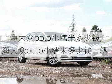 上海大众polo小糯米多少钱,上海大众polo小糯米多少钱一辆