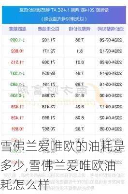 雪佛兰爱唯欧的油耗是多少,雪佛兰爱唯欧油耗怎么样