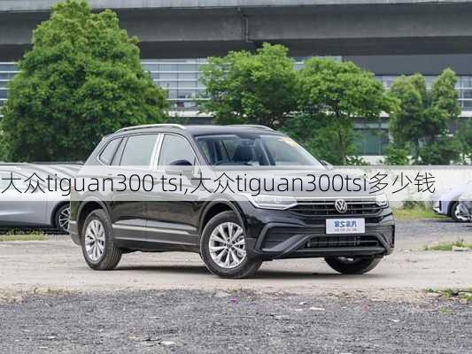 大众tiguan300 tsi,大众tiguan300tsi多少钱