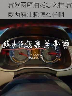 赛欧两厢油耗怎么样,赛欧两厢油耗怎么样啊