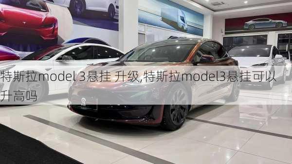 特斯拉model 3悬挂 升级,特斯拉model3悬挂可以升高吗