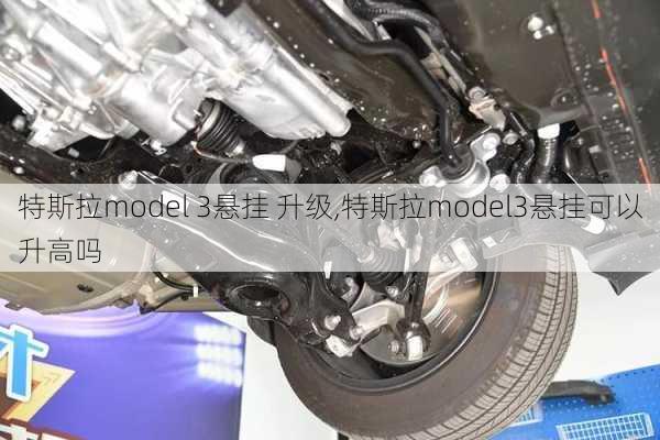 特斯拉model 3悬挂 升级,特斯拉model3悬挂可以升高吗