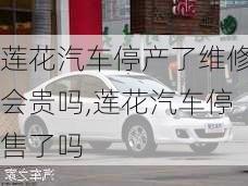 莲花汽车停产了维修会贵吗,莲花汽车停售了吗