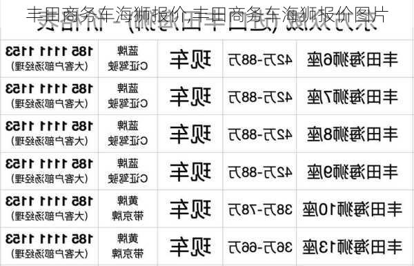 丰田商务车海狮报价,丰田商务车海狮报价图片