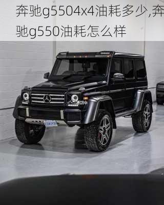 奔驰g5504x4油耗多少,奔驰g550油耗怎么样