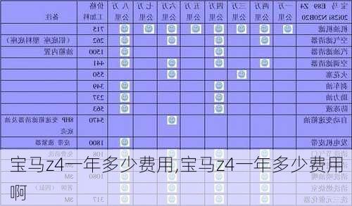 宝马z4一年多少费用,宝马z4一年多少费用啊