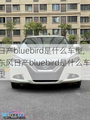 日产bluebird是什么车型,东风日产bluebird是什么车型