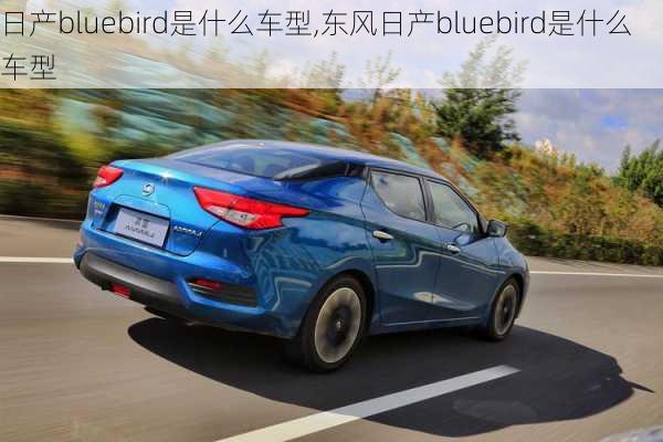 日产bluebird是什么车型,东风日产bluebird是什么车型