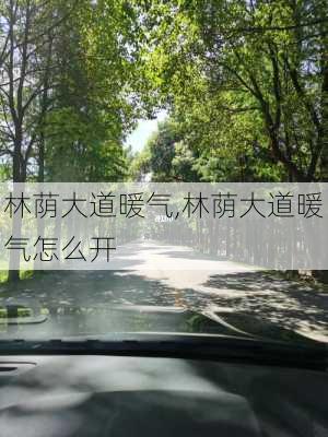 林荫大道暖气,林荫大道暖气怎么开